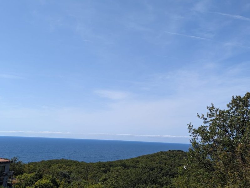 3c457de9-b54f-4a58-84ec-38b3a75f4899.jpeg