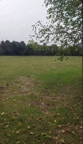 Prodaja - Zemljište Podgorica, Zeta