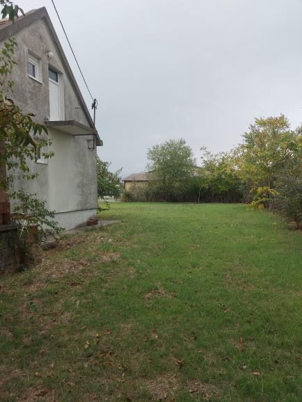 918fc470-ac71-497d-9cdb-f18d65302cb7.jpg