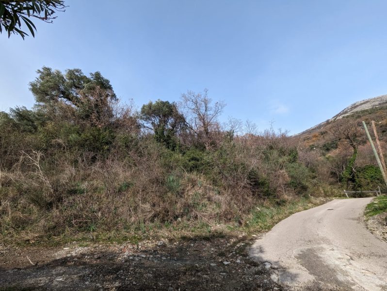 Prodaja - Zemljište Budva, Buljarica